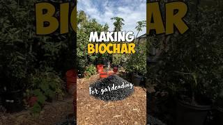 DIY biochar. I’ll be doing some experiments growing fruits and vegetables out with biochar.