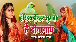 हरियर हरियर सुगवा हे दीनानाथ |Sushma Giri | छठ पूजा गीत