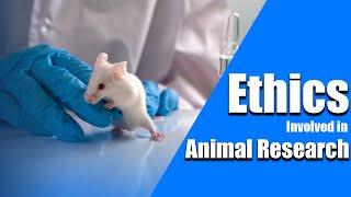 Ethics involved in Animal Research