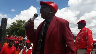 80 year old Chamisa Supporter has a Message for Biggie Matiza