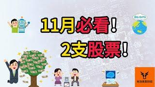 11月必看的2支股票!【美股分析】