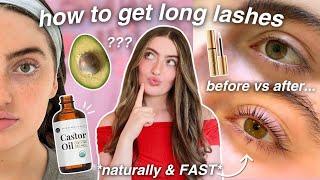 how to get long lashes FAST!! *naturally lengthen your eyelashes*