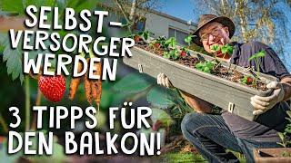 3 Selbstversorger Tipps für den Balkon!  Kräuter, Obst & Gemüse anbauen mit wenig Platz