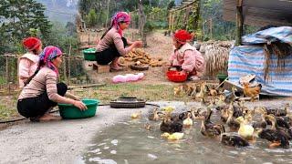 Mother and daughter prepare animal feed and watch ducks swimming in the pond that mother built.