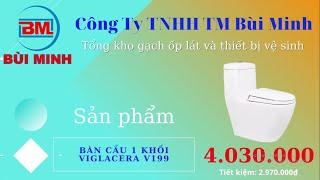 Bàn cầu 1 khối Viglacera V199 - Thiết bị vệ sinh Bùi Minh