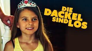 Die Dackel sind los  (Familienfilm in voller Länge, kostenlos ganzer Film, Kinderfilm auf Deutsch)