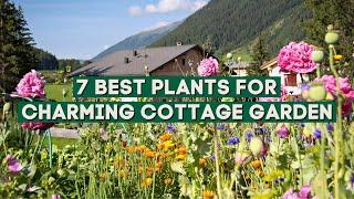 7 Best Plants for a Charming Cottage Garden 