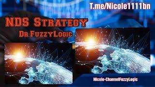 NDS strategy (Dr.Fuzzylogic)3