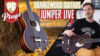 Orangewood Juniper Live Acoustic Guitar Demo by Zach Wish | PG Plays