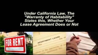 California Renter's Rights Mold, Water Damage, Leaks and Other Environmental Issues