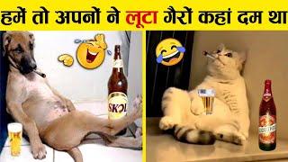 इन जानवरों से पंगा ना बाबा ना .... Funny Animals Video 2022 (Part-2)