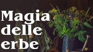 Viriditas: i simboli e la magia delle erbe officinali