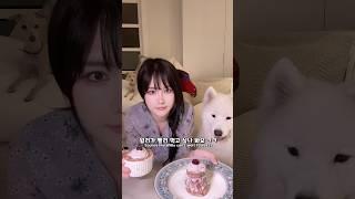 강아지가 이거까지 먹어도 된다고요?