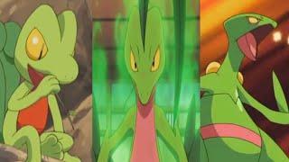 Pokemon AMV Fire Treecko to Sceptile