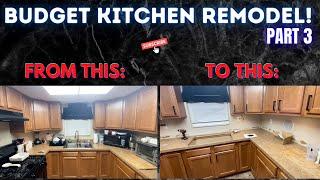Starting the Kitchen Remodel! - Part 3