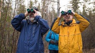 Discover Alaska’s songbirds with Mr. Whitekeys
