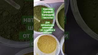 Крапива. Шалфей. Календула. Чистотел от псориаза и себореи на нашем производстве #псориаз #себорея