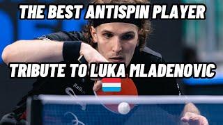 TABLETENNIS TRIBUTE TO LUKA MLADENOVIC | THE BEST ANTISPIN PLAYER IN THE WORLD 