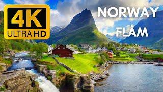 Flam NORWAY  Norway Walking Tour  Beautiful Village in Europe 4K  Summer 60fps