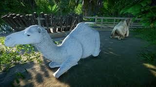 Albino Camel | Planet Zoo Animals
