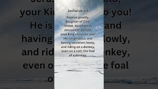 Journey of faith and spiritual growth | Zechariah 9:9 Daily Bible Verse