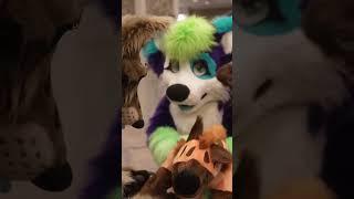 Going on a FURSUIT SAFARI | FURRY FLASHBACK  #fursuit #furry