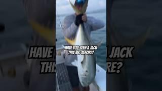 GIANT JACK CREVALLE! #fishing