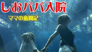 しおパパの入院生活とママの奮闘記しおりん家のおいしい休日！沖縄やんばるで暮らすしおりファミリー南国日常Vlog　okinawa