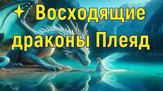 Восходящие драконы Плеяд