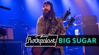 Big Sugar live | Rockpalast | 2014
