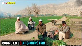 Rural life | Afghanistan | 2021 | 4K