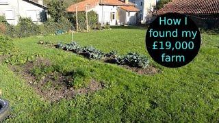 Buying my £19,000 farm - My homestead renovation