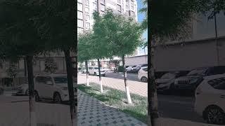 Утро во дворе нашего ЖК // Анапа, 16 мая 2025 г.