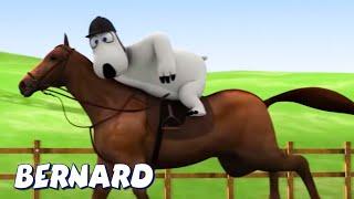 Bernard Bear | Horse Riding! AND MORE | Cartoons for Children | Full Episodes