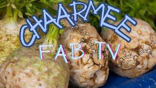 Chaarmee Fab tv sänder live! Cutting huge Celeriac ASMR Satisfying #healthy #yummy #live