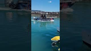 full of fish