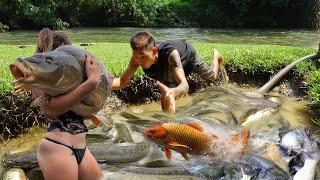 Best Fishing Videos, Unique Fishing, Survival Fishing, Fishing Techniques, Catching Lots of Fish