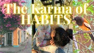 Suchi’s Karma Vlog - The Karma of Habits