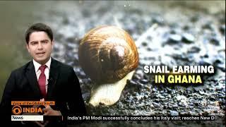 Snail Farming picks up in Ghana as efforts intensify to protect endangered species