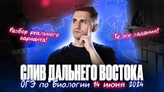 СЛИВ ДАЛЬНЕГО ВОСТОКА. ОГЭ по БИОЛОГИИ 14 июня 2024 | Федор Агеев