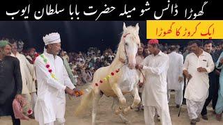 Horse dance with rhythm of dhol only in Pakistan