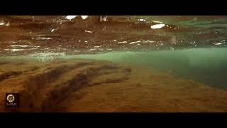 Analog Expanse - Don't Know | Official Music Video