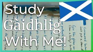 Study Gàidhlig with Me! 󠁧󠁢󠁳󠁣󠁴󠁿 Scottish Gaelic Study Vlog 