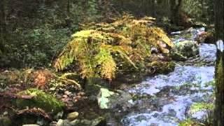 River from Water Drops by Alberto Cobo