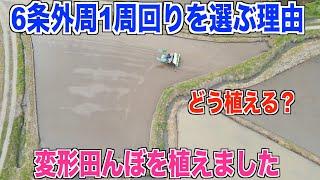 【変形田んぼの田植え】6条外周1周回りを選ぶ理由 30代米作り奮闘記#200