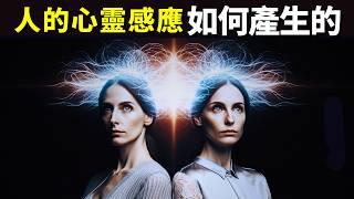 人的心靈感應如何產生的?是因為量子糾纏嗎? | 未解之謎(生命,第六感,心灵感应,科普,生物,量子纠缠,基因,意念力)