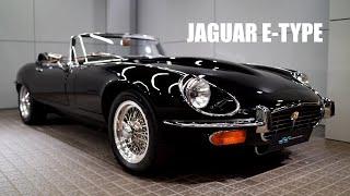 Detailing Jaguar E-Type