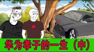 华为孝子的一生（中）｜wojak｜猴子的一生｜小粉红的一生｜