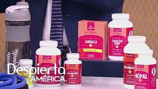 Santos Remedios contra diabetes y la prediabetes, males comunes entre latinos | Dr. Juan