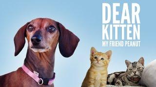 Dear Kitten: My Friend Peanut